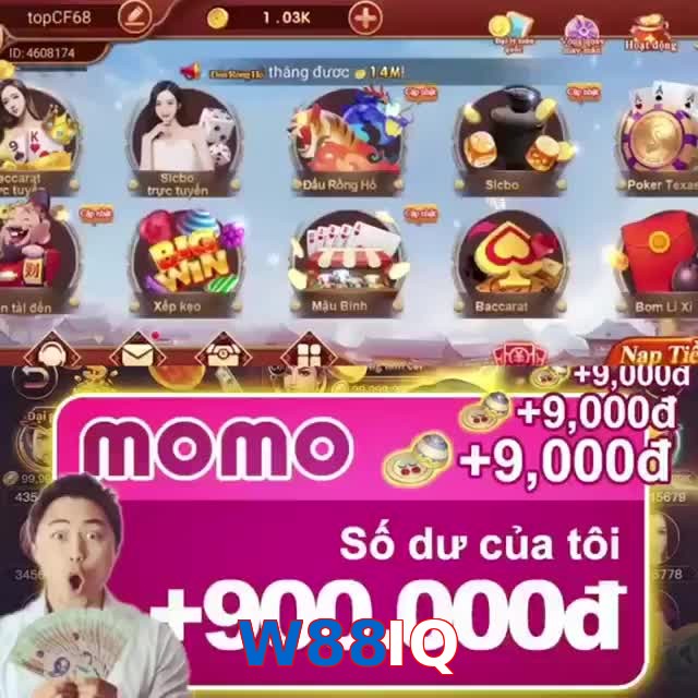 W88IQ